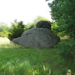 Stein im Andrea-Hilse-Park