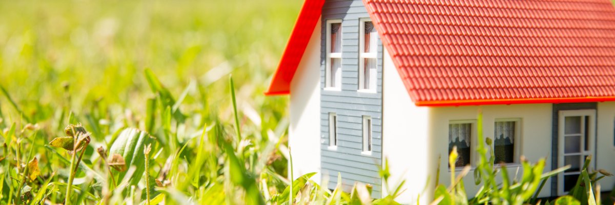 Haus auf grüner Wiese