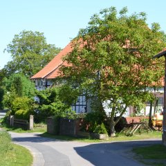 Dorfstraße mit Fachwerkhäusern