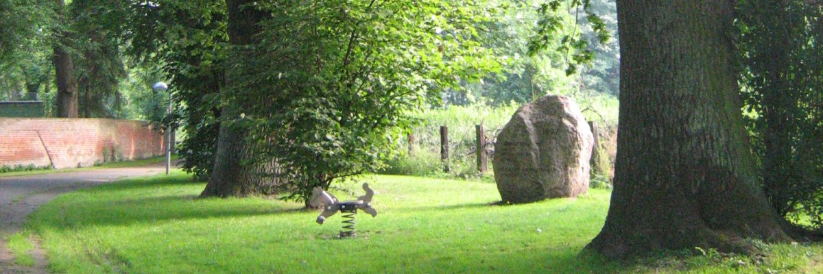 3 Eichen Bäume im Park