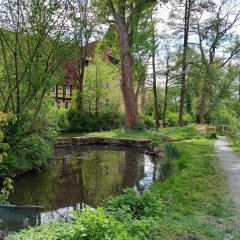 Rössinger Teich