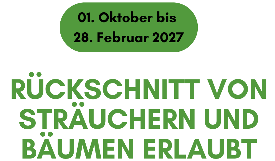 Bildausschnitt des Flyers