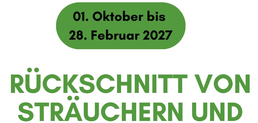 Bildausschnitt des Flyers